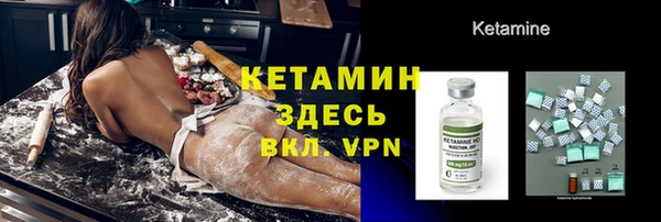 сатива Белокуриха