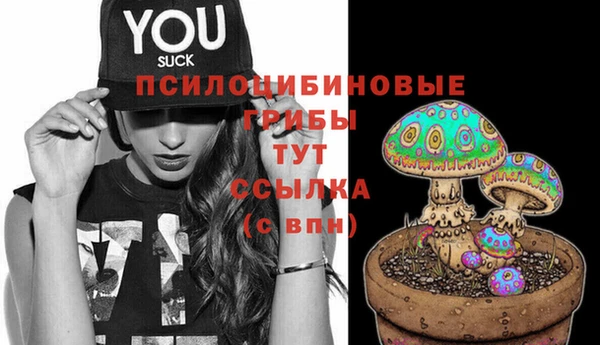 марки lsd Горнозаводск