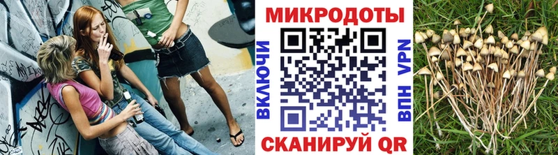 Галлюциногенные грибы GOLDEN TEACHER  Полесск 